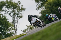 Advanced 1 Group White Bikes